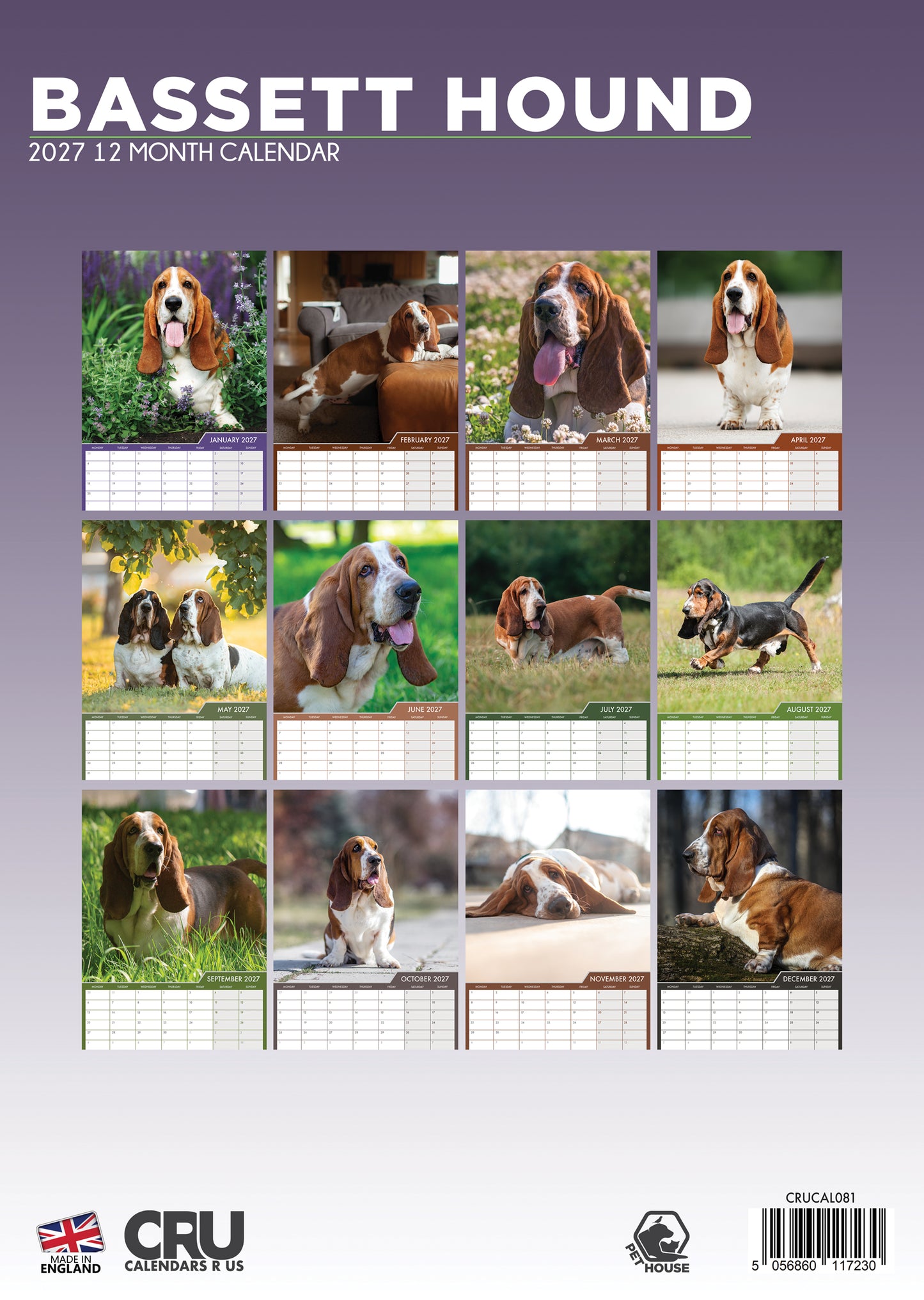 Bassett Hound - A3 Calendar 2027