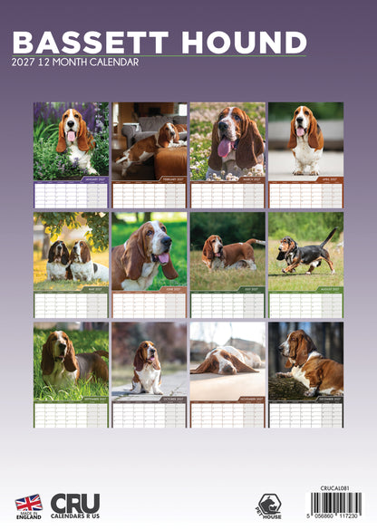 Bassett Hound - A3 Calendar 2027