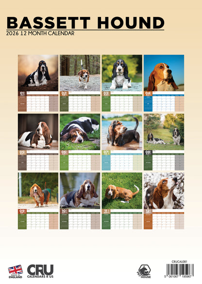 Bassett Hound - A3 Calendar 2026