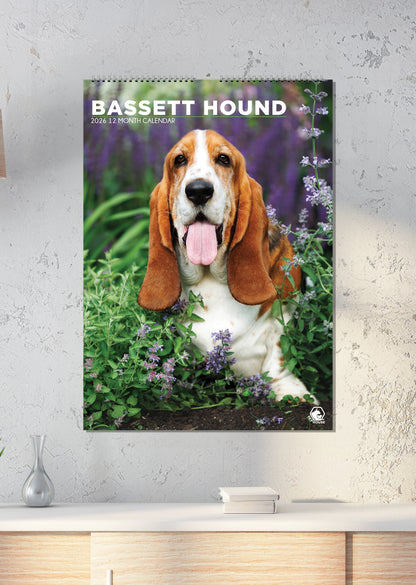 Bassett Hound - A3 Calendar 2027