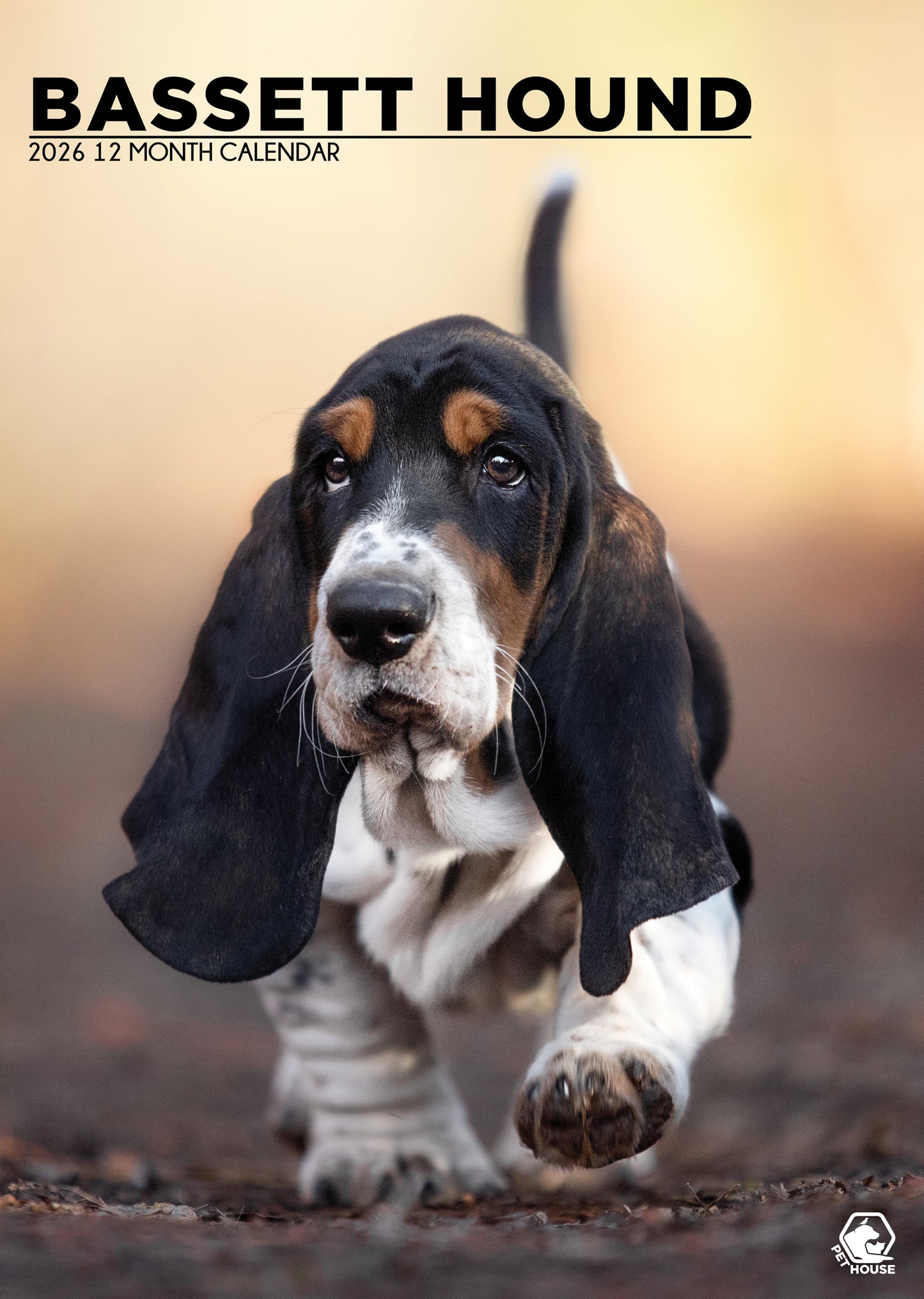 Bassett Hound - A3 Calendar 2026