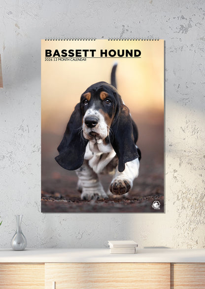 Bassett Hound - A3 Calendar 2026