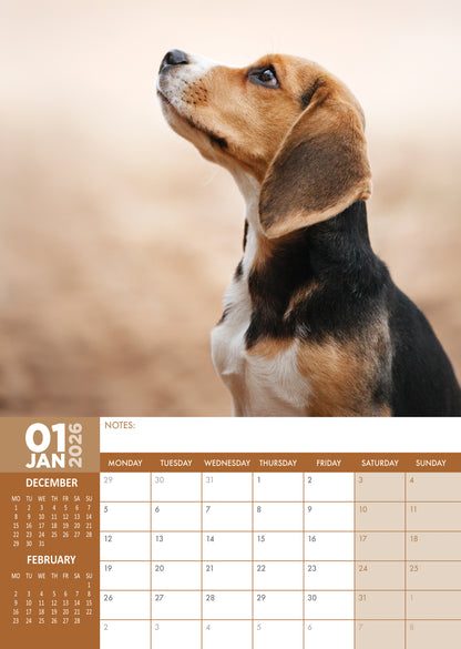 Beagle - A3 Calendar 2026