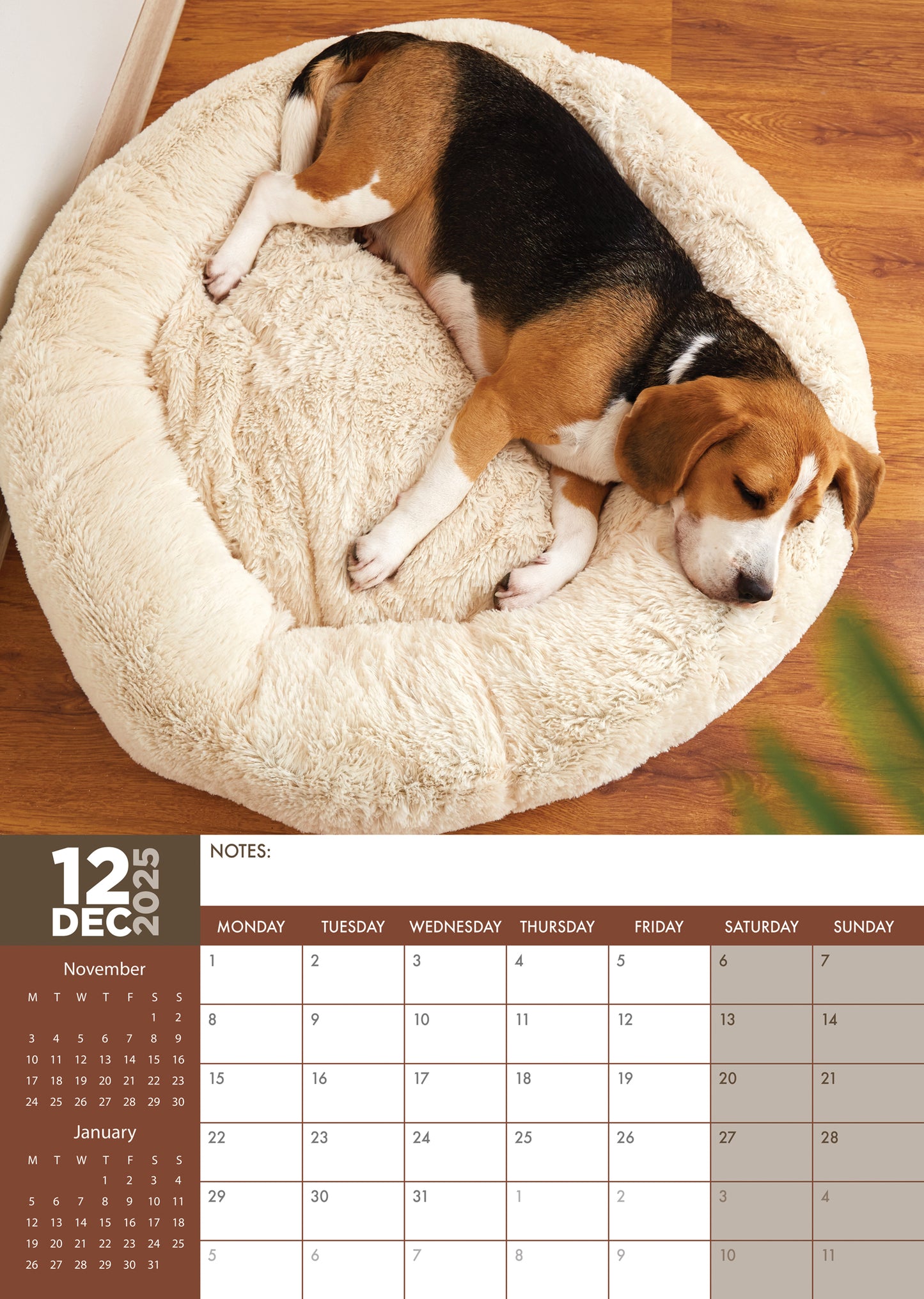 Beagle Calendar 2025