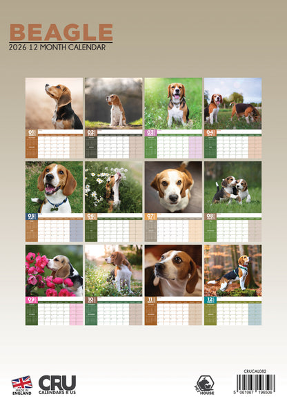 Beagle - A3 Calendar 2026