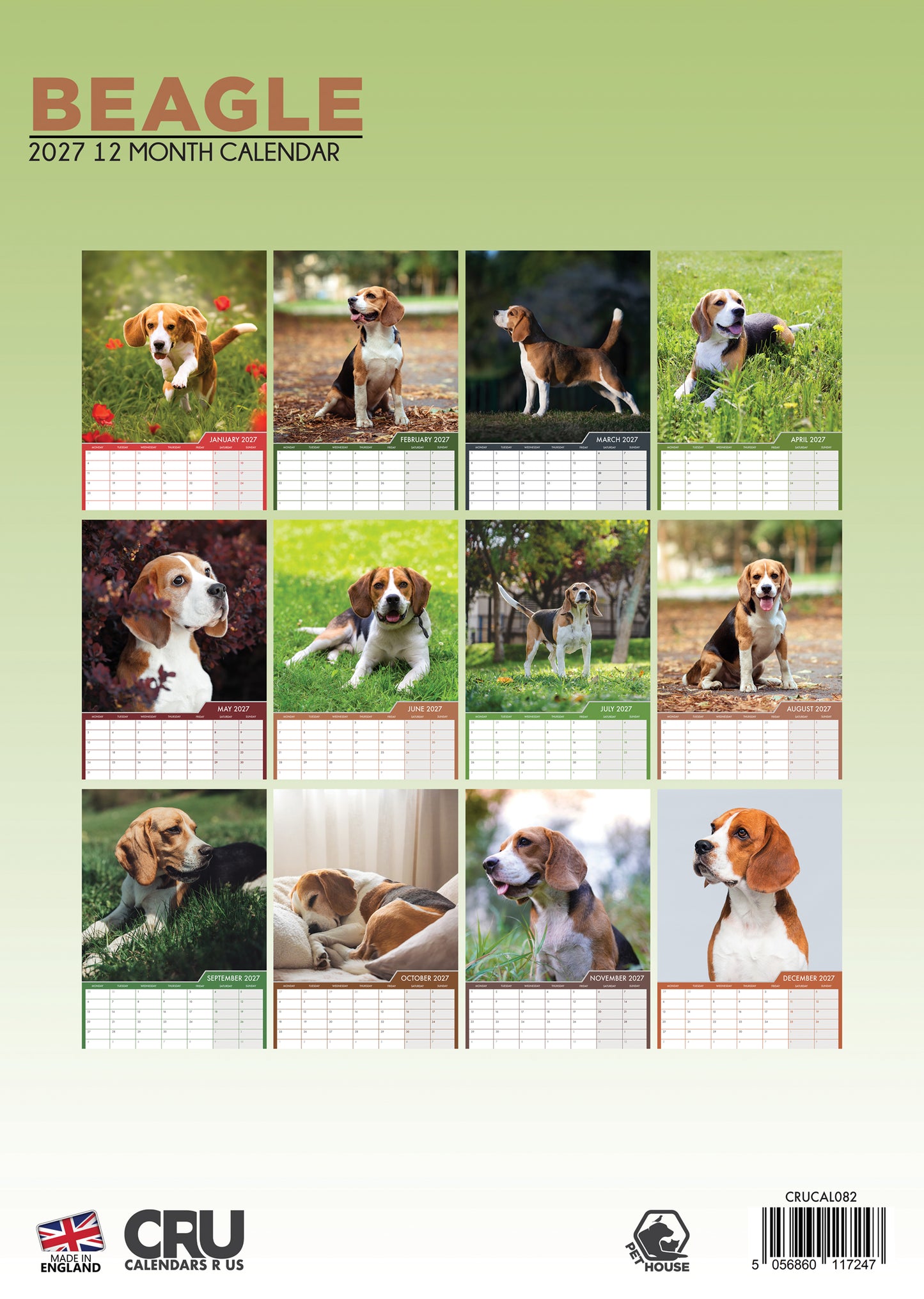 Beagle - A3 Calendar 2027