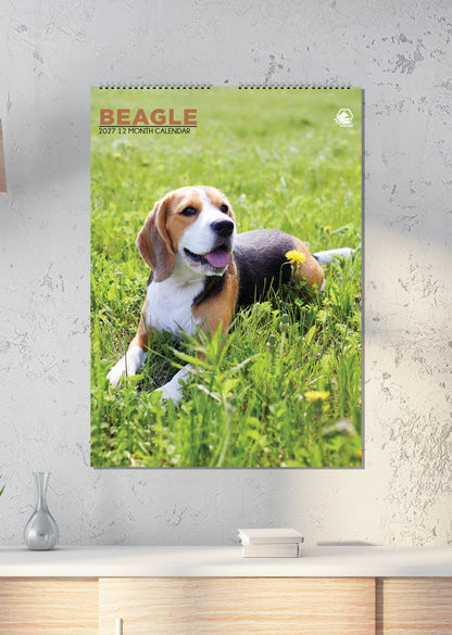 Beagle - A3 Calendar 2027