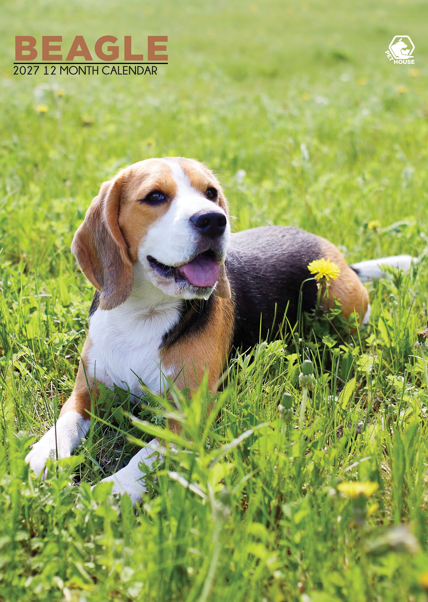 Beagle - A3 Calendar 2027