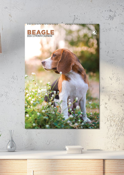 Beagle - A3 Calendar 2026
