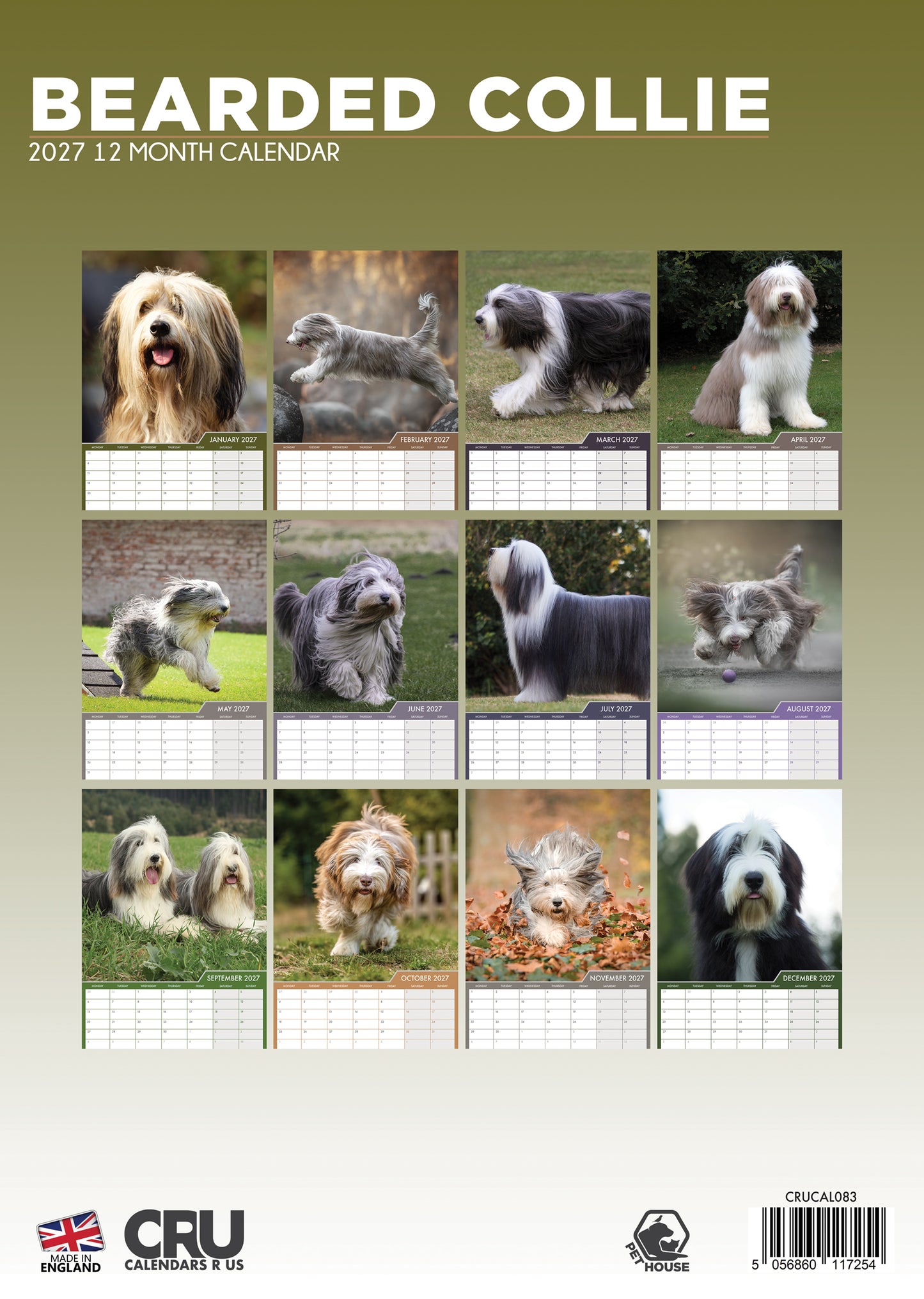 Bearded Collie - A3 Calendar 2027