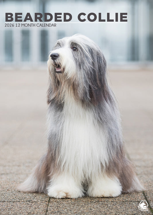 Bearded Collie - A3 Wholesale