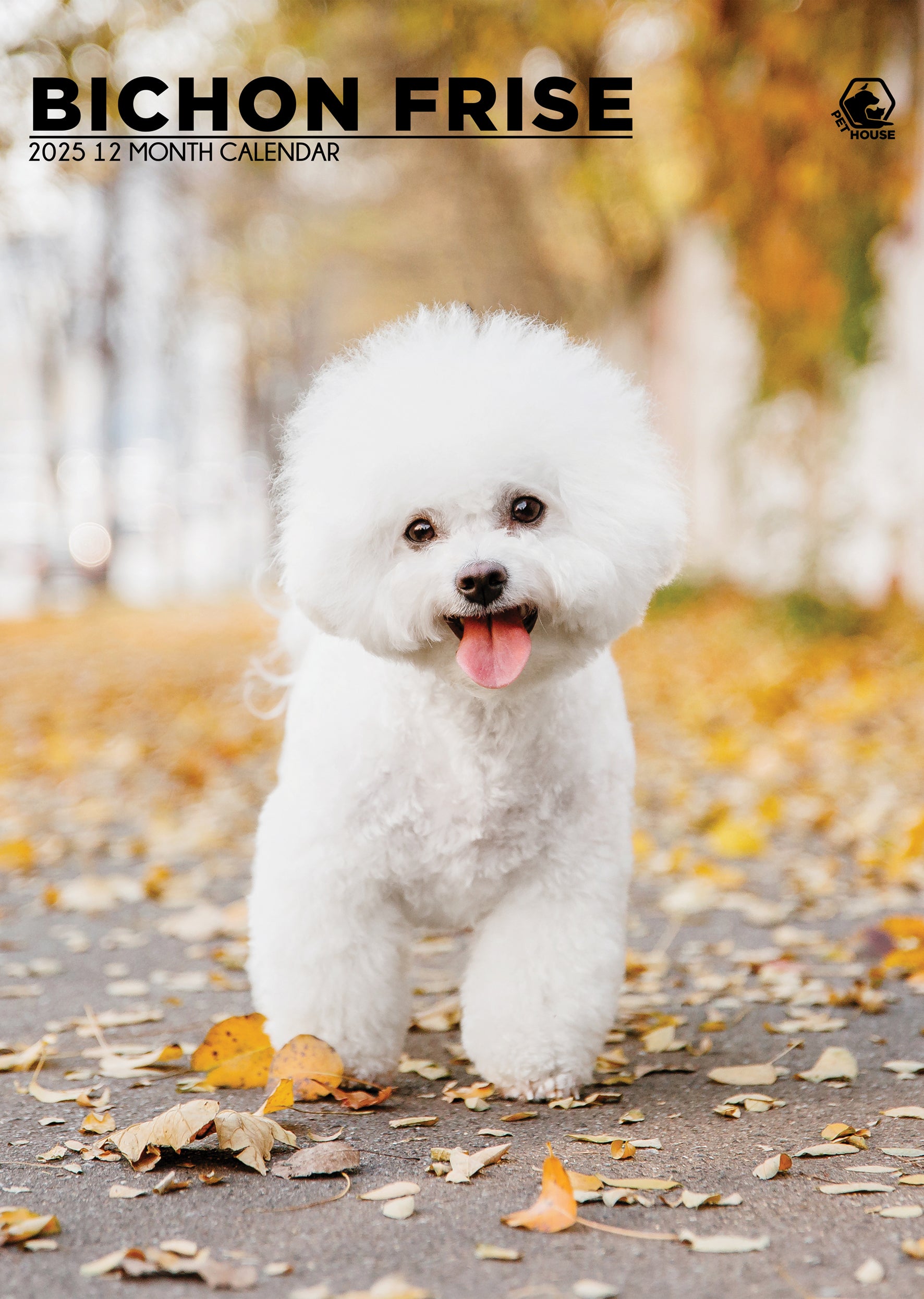 Bichon Frise Calendar 2025 CalendarsRus