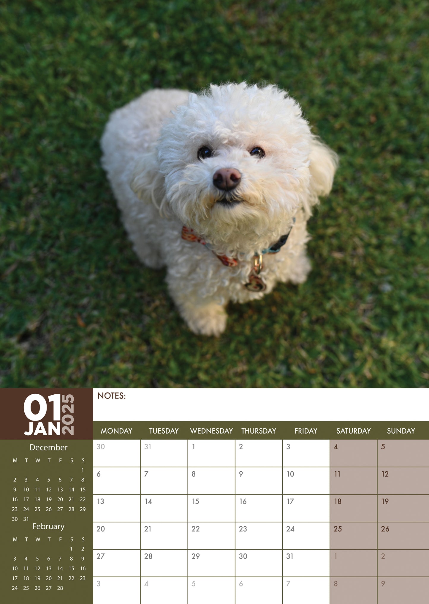 Bichon Frise Calendar 2025