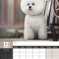 Bichon Frise Calendar 2025