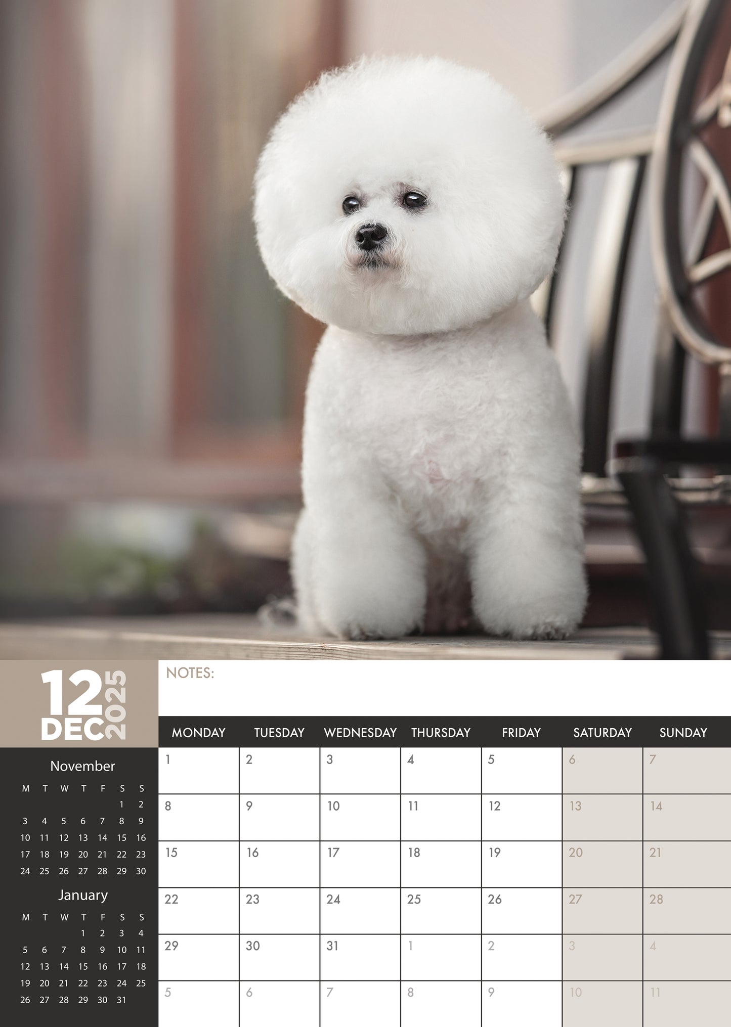 Bichon Frise Calendar 2025