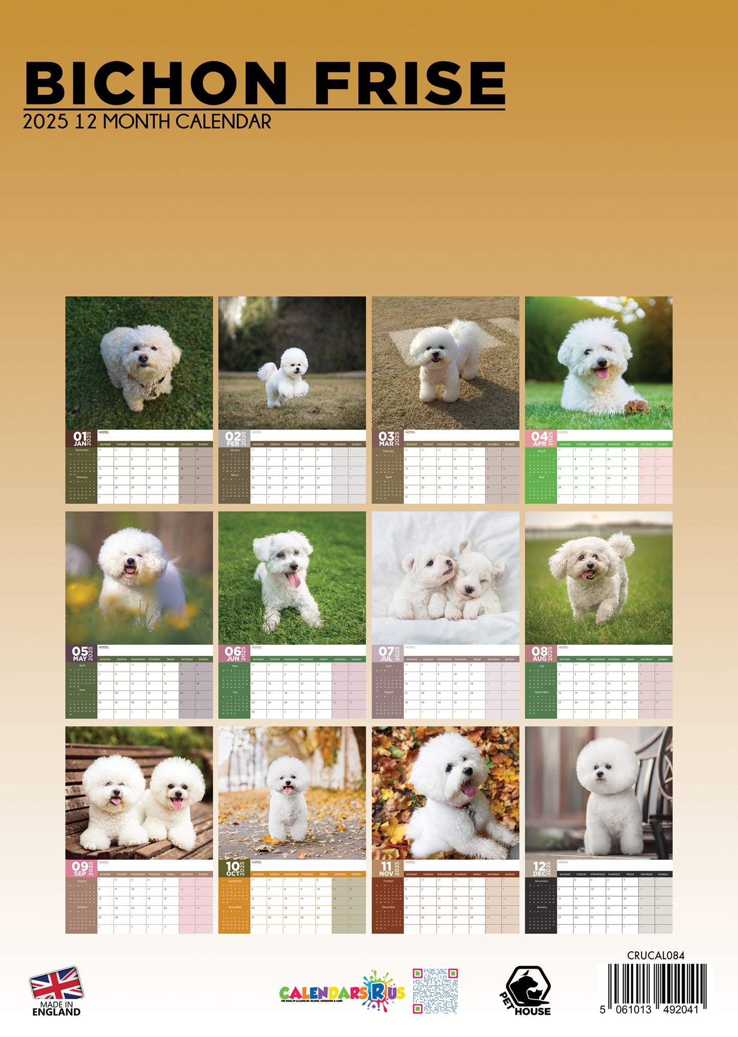 Bichon Frise Calendar 2025