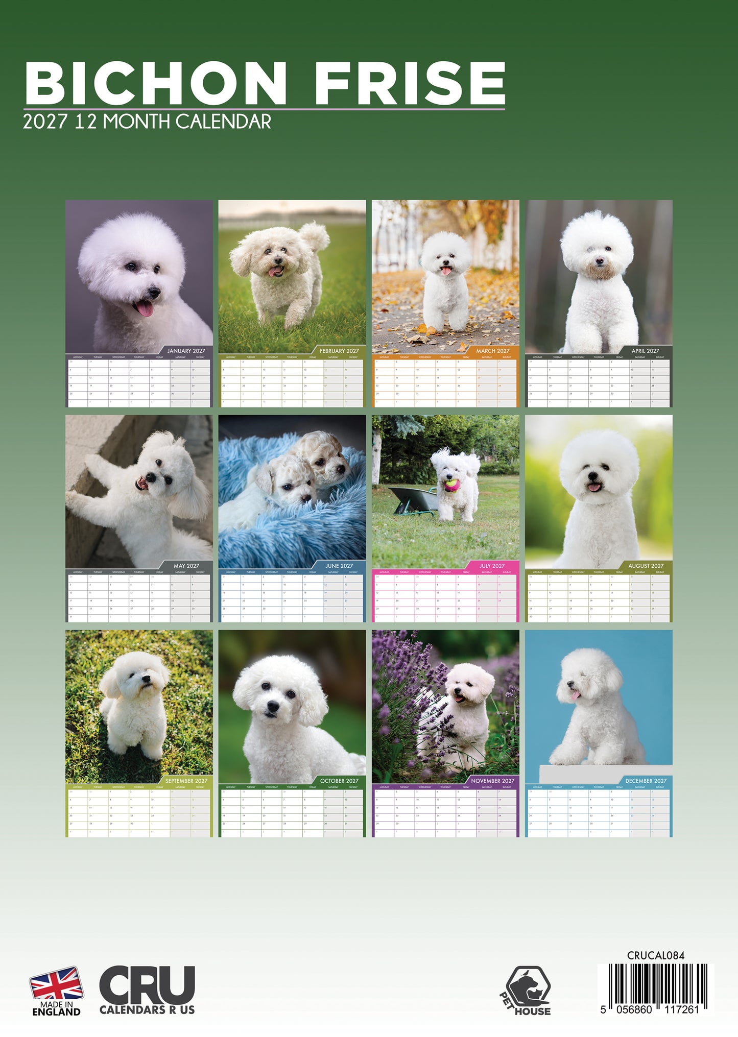 Bichon Frise - A3 Calendar 2027