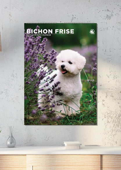 Bichon Frise - A3 Calendar 2027