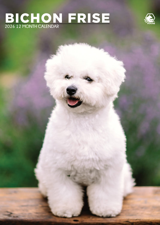 Bichon Frise - A3 Wholesale