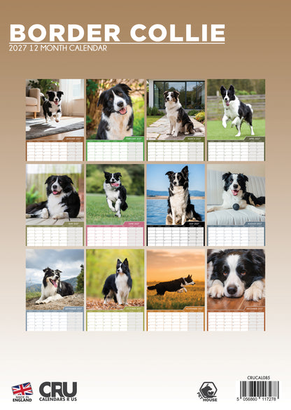 Border Collie - A3 Calendar 2027
