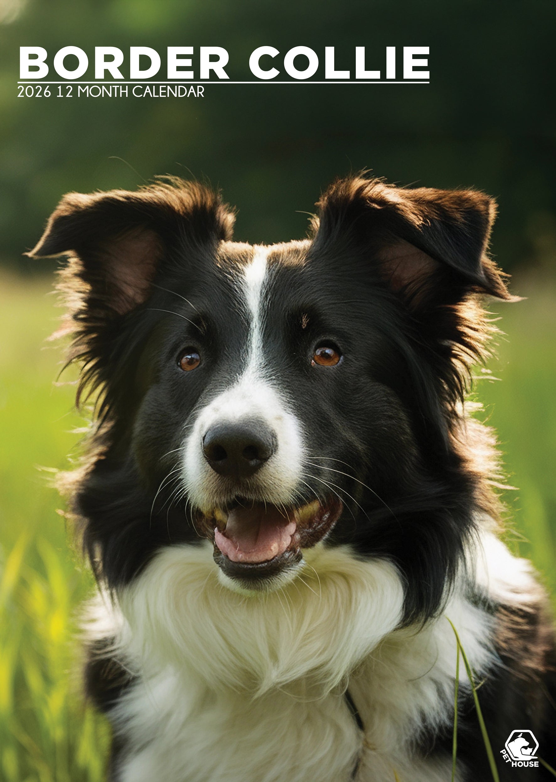 Border Collie A3 Calendar 2026 CalendarsRus