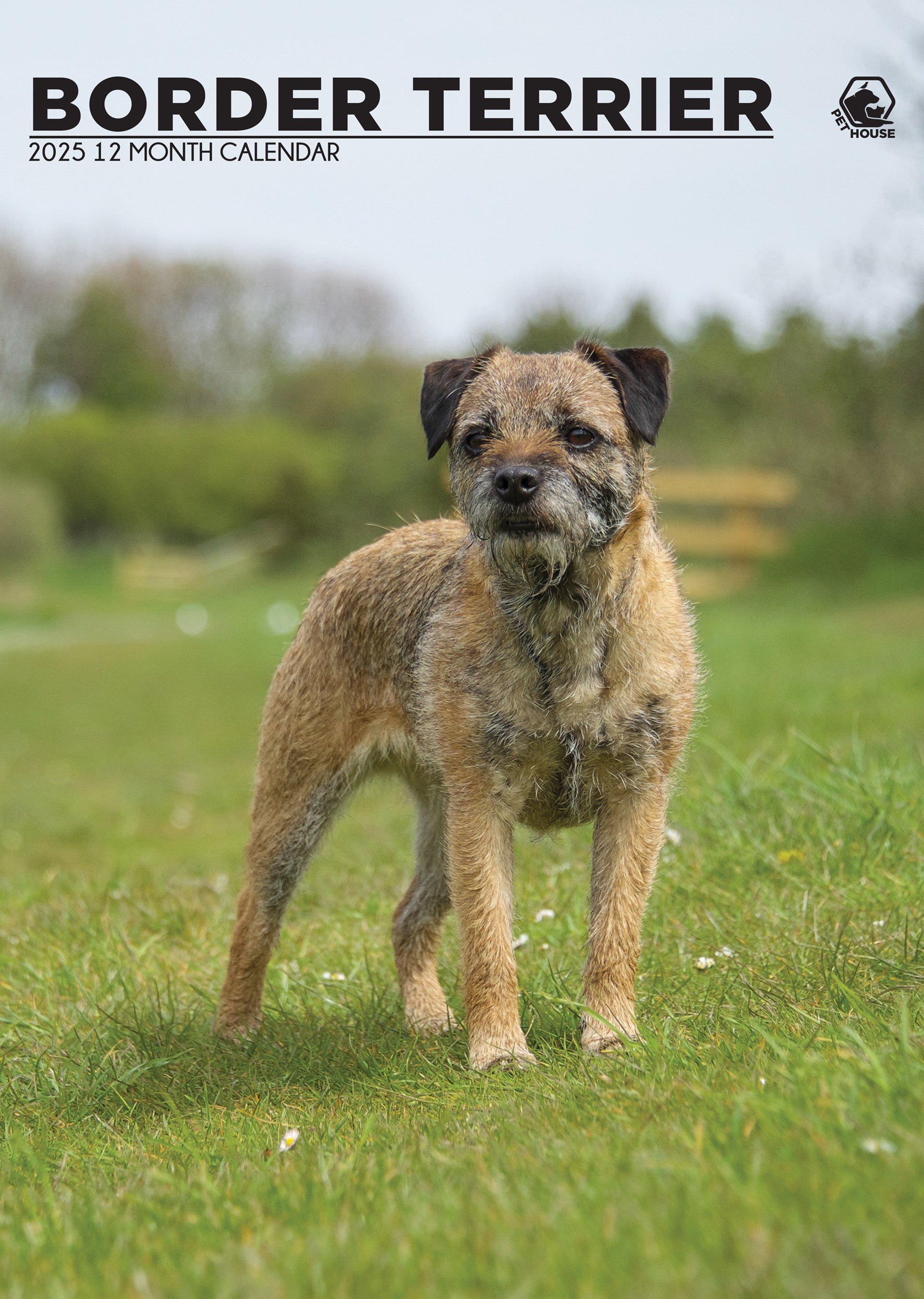 Border Terrier Calendar 2025 CalendarsRus