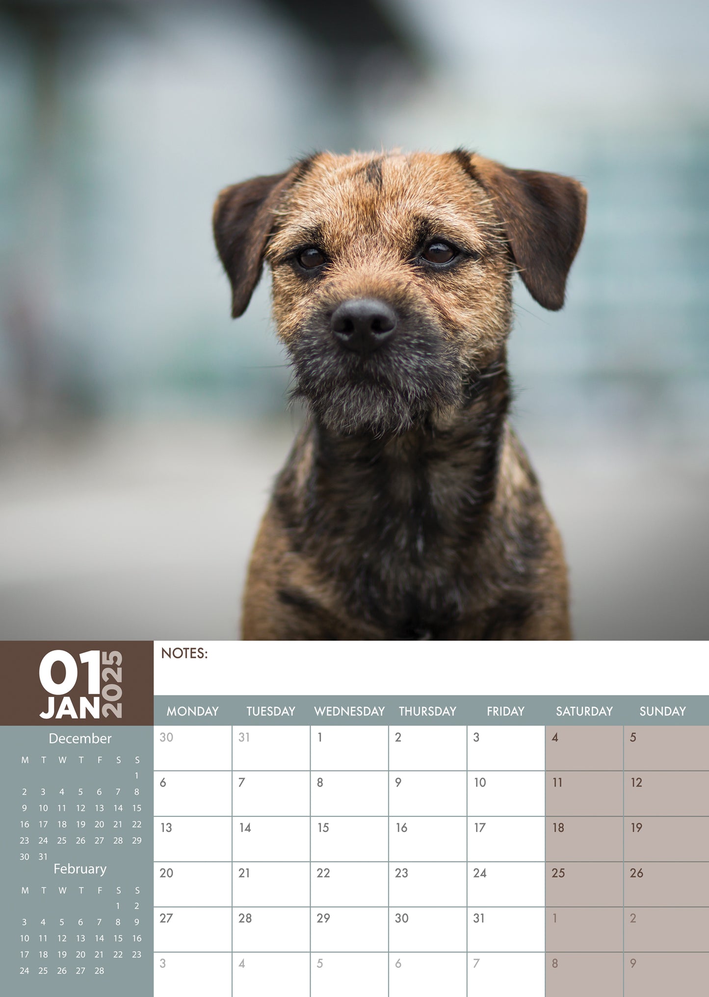 Border Terrier Calendar 2025