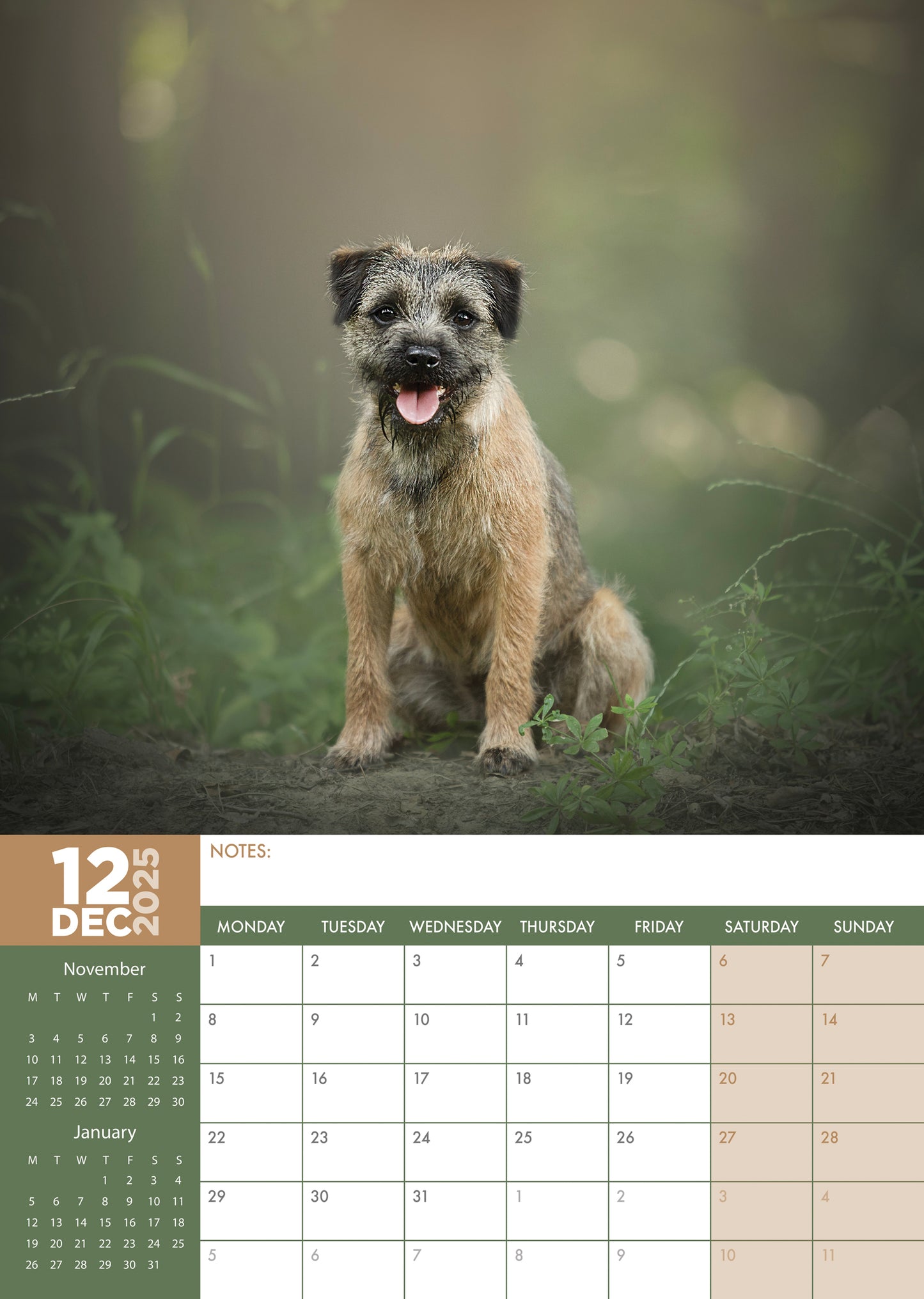 Border Terrier Calendar 2025