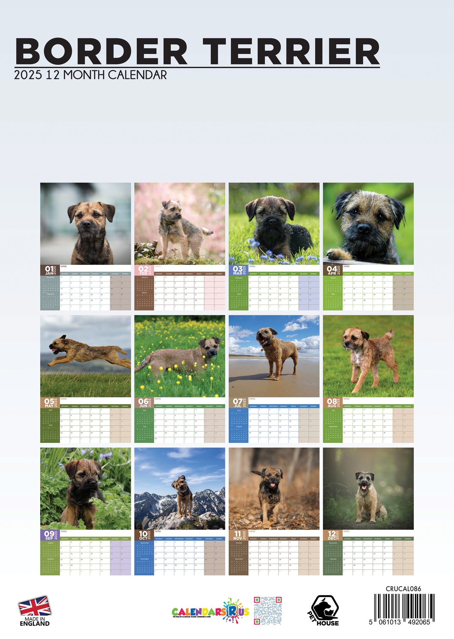 Border Terrier Calendar 2025