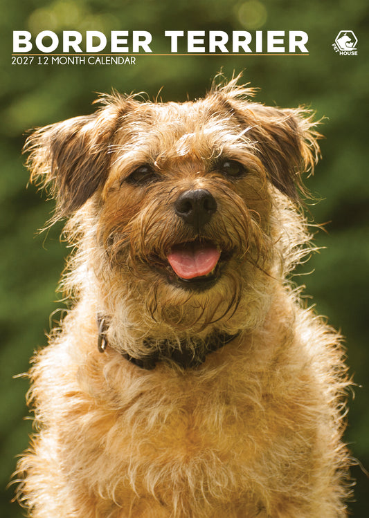Border Terrier - A3 Calendar 2027