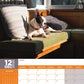 Boston Terrier Calendar 2025