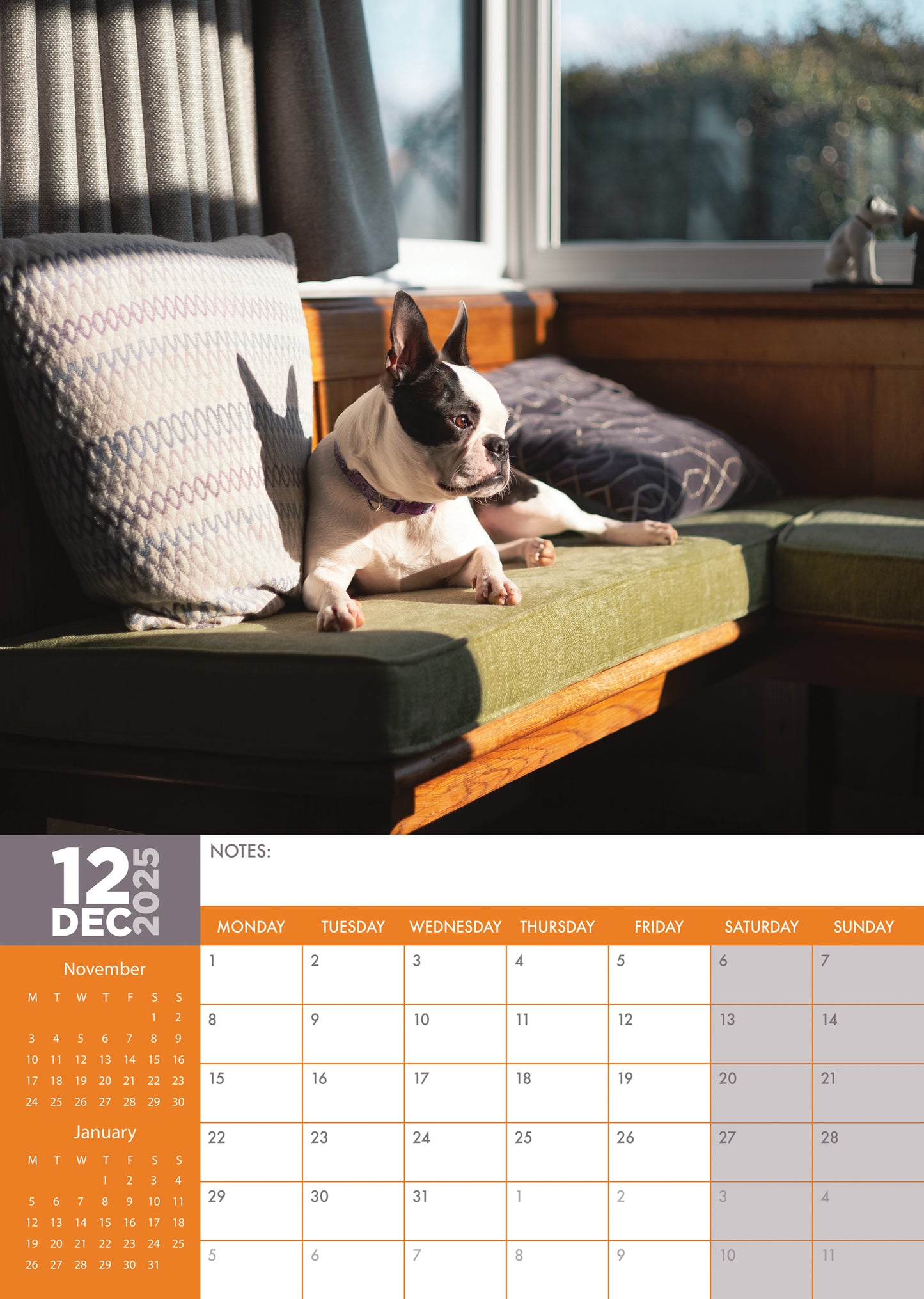 Boston Terrier Calendar 2025