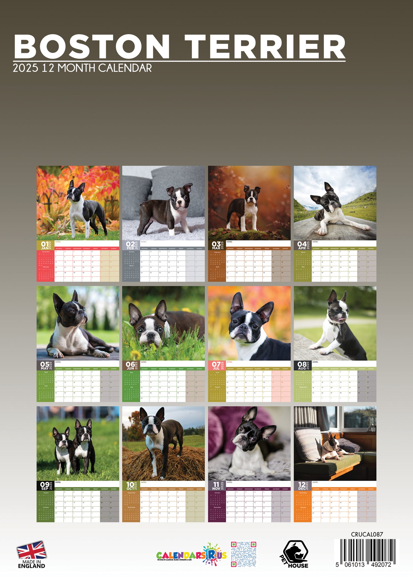 Boston Terrier Calendar 2025