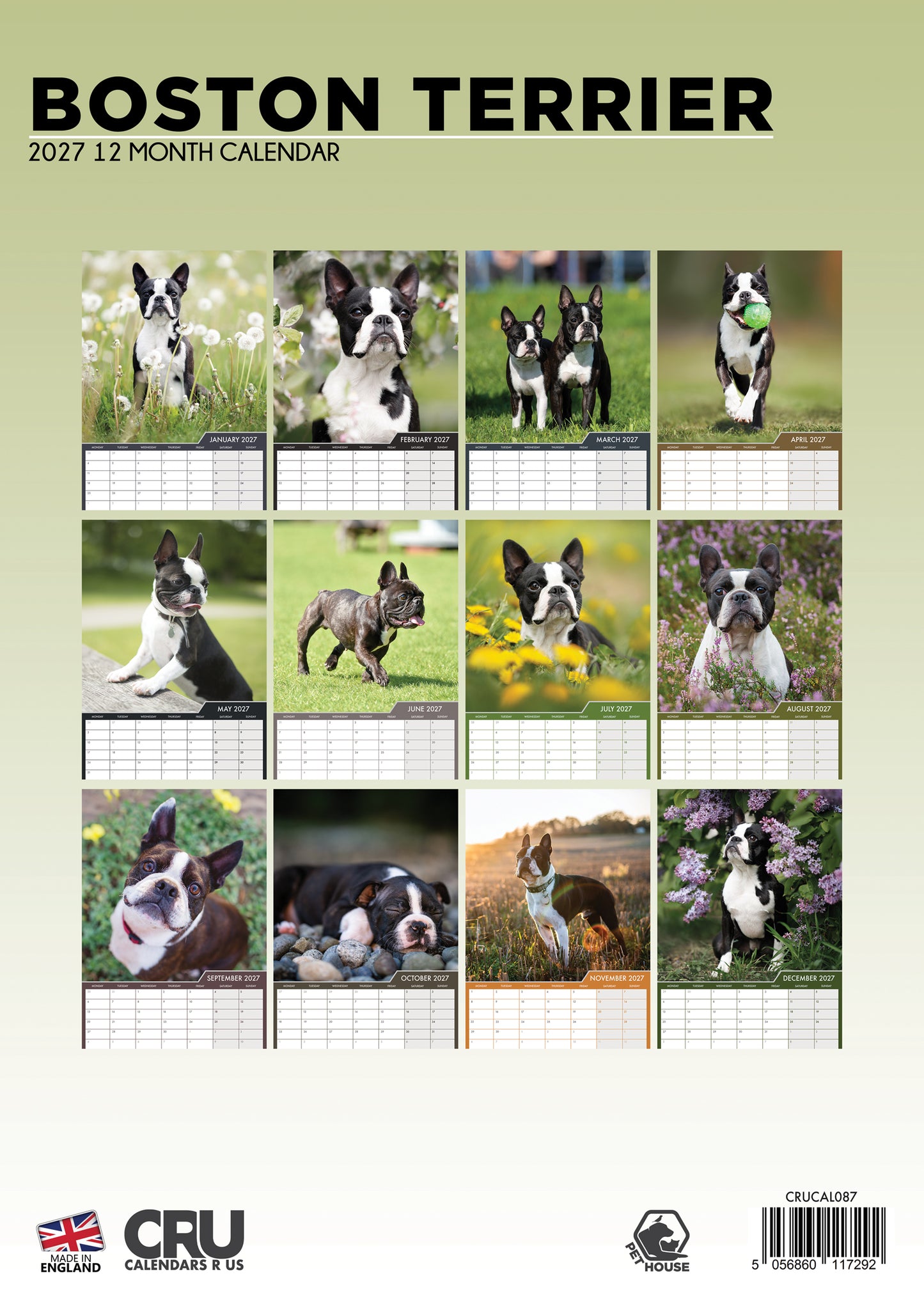 Boston Terrier - A3 Calendar 2027