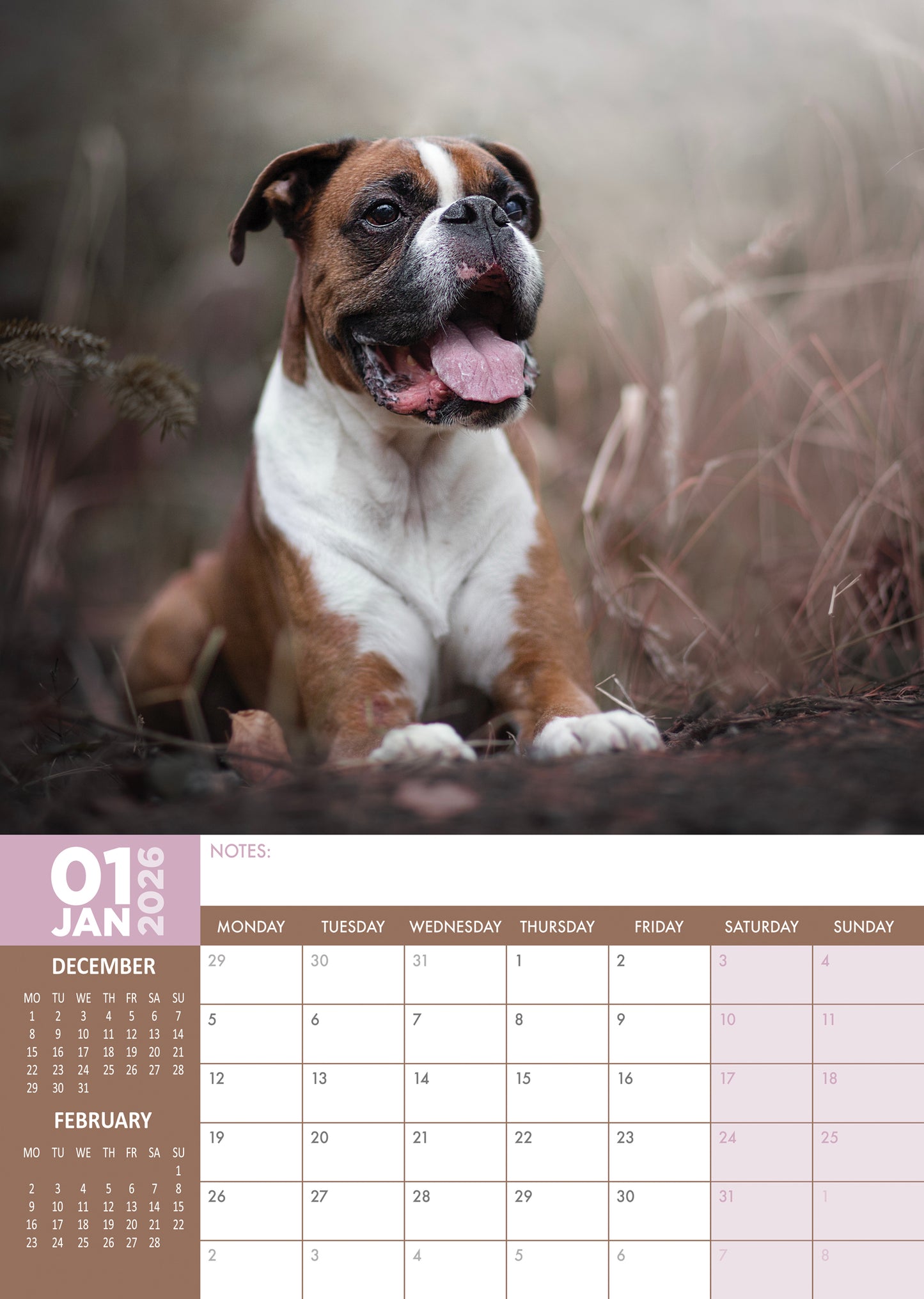 Boxer - A3 Calendar 2026