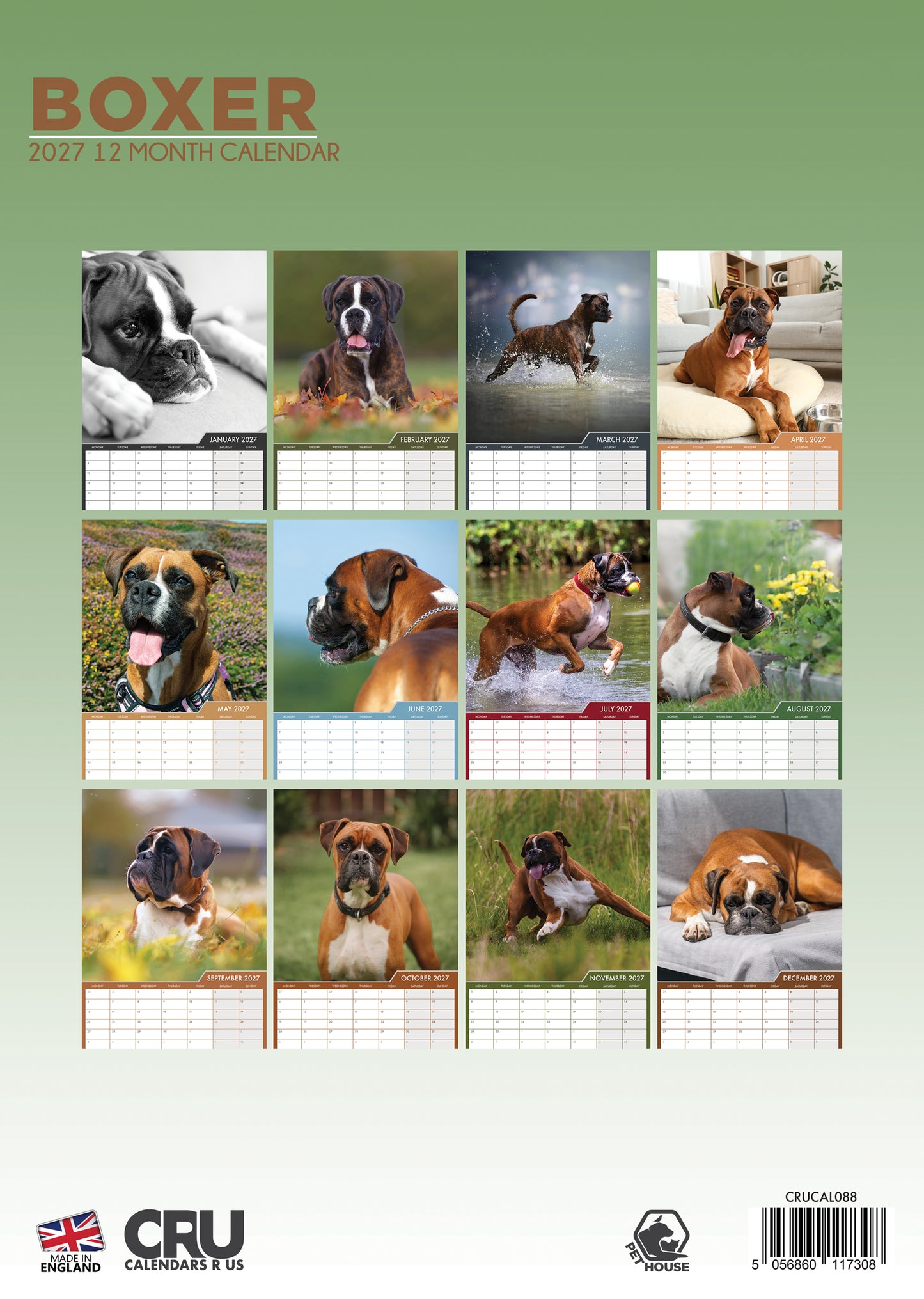 Boxer - A3 Calendar 2027