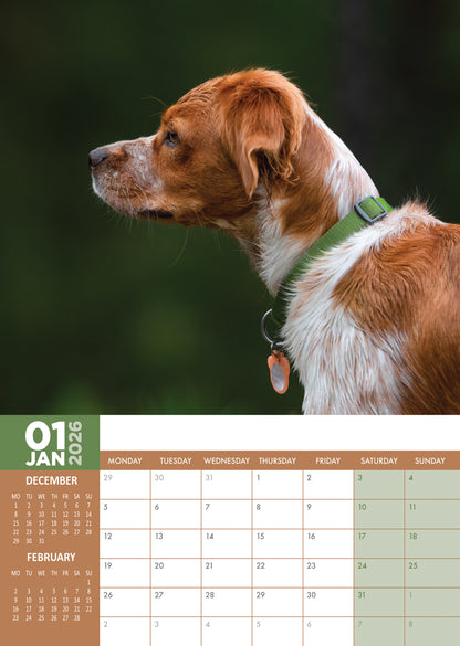 Brittany - A3 Calendar 2026