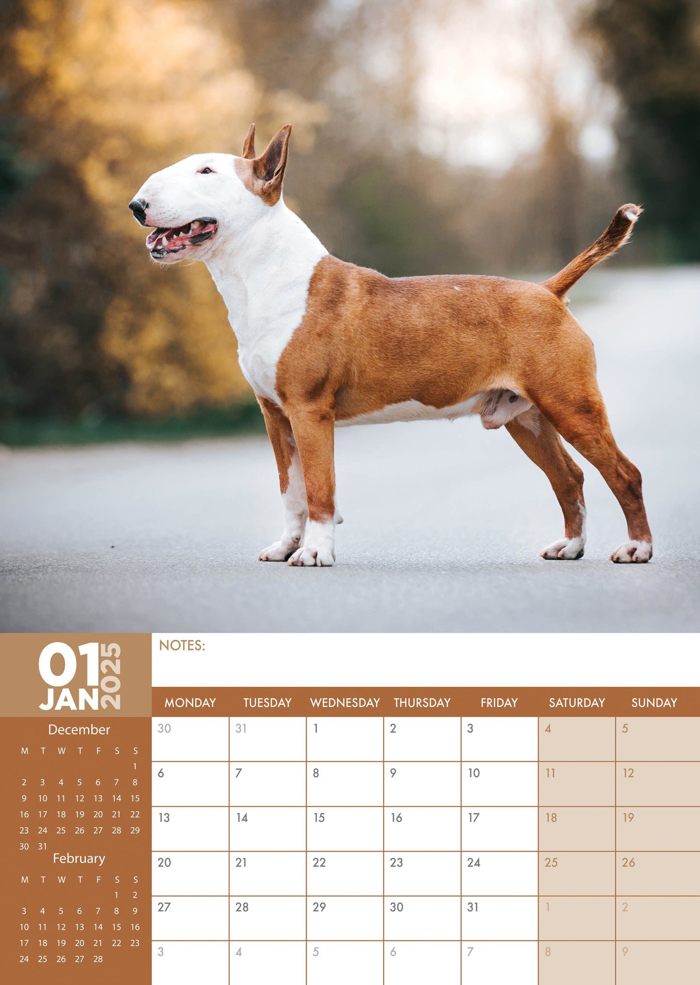 Bull Terrier Calendar 2025