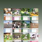 Bull Terrier Calendar 2025