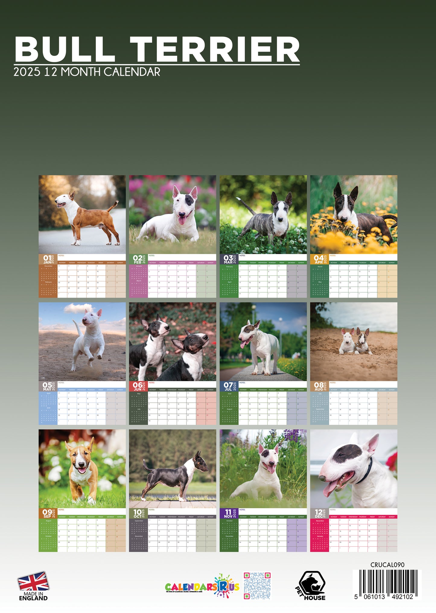 Bull Terrier Calendar 2025