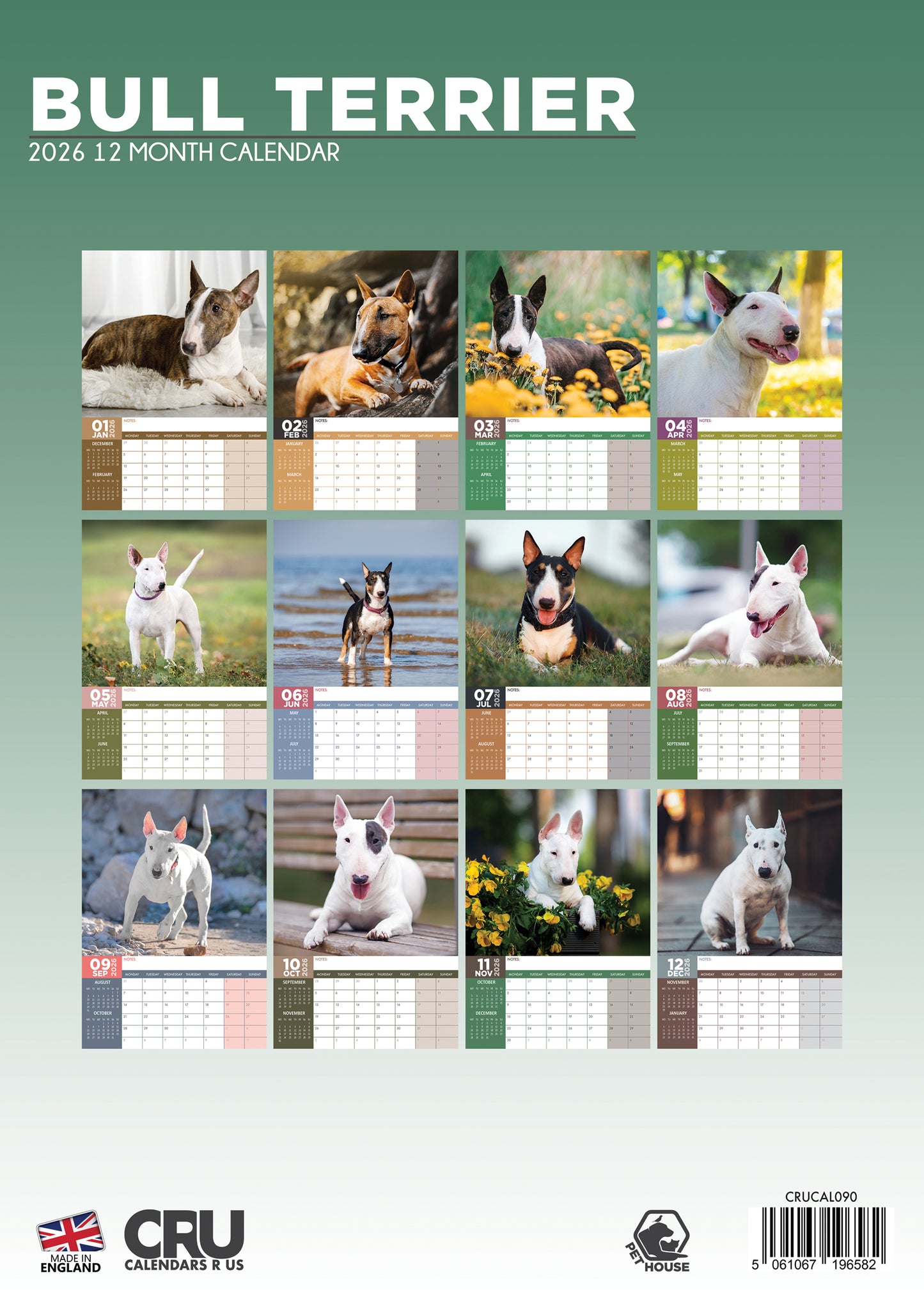 Bull Terrier - A3 Calendar 2026