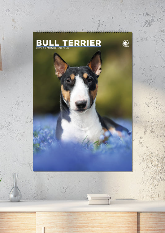 Bull Terrier - A3 Calendar 2027