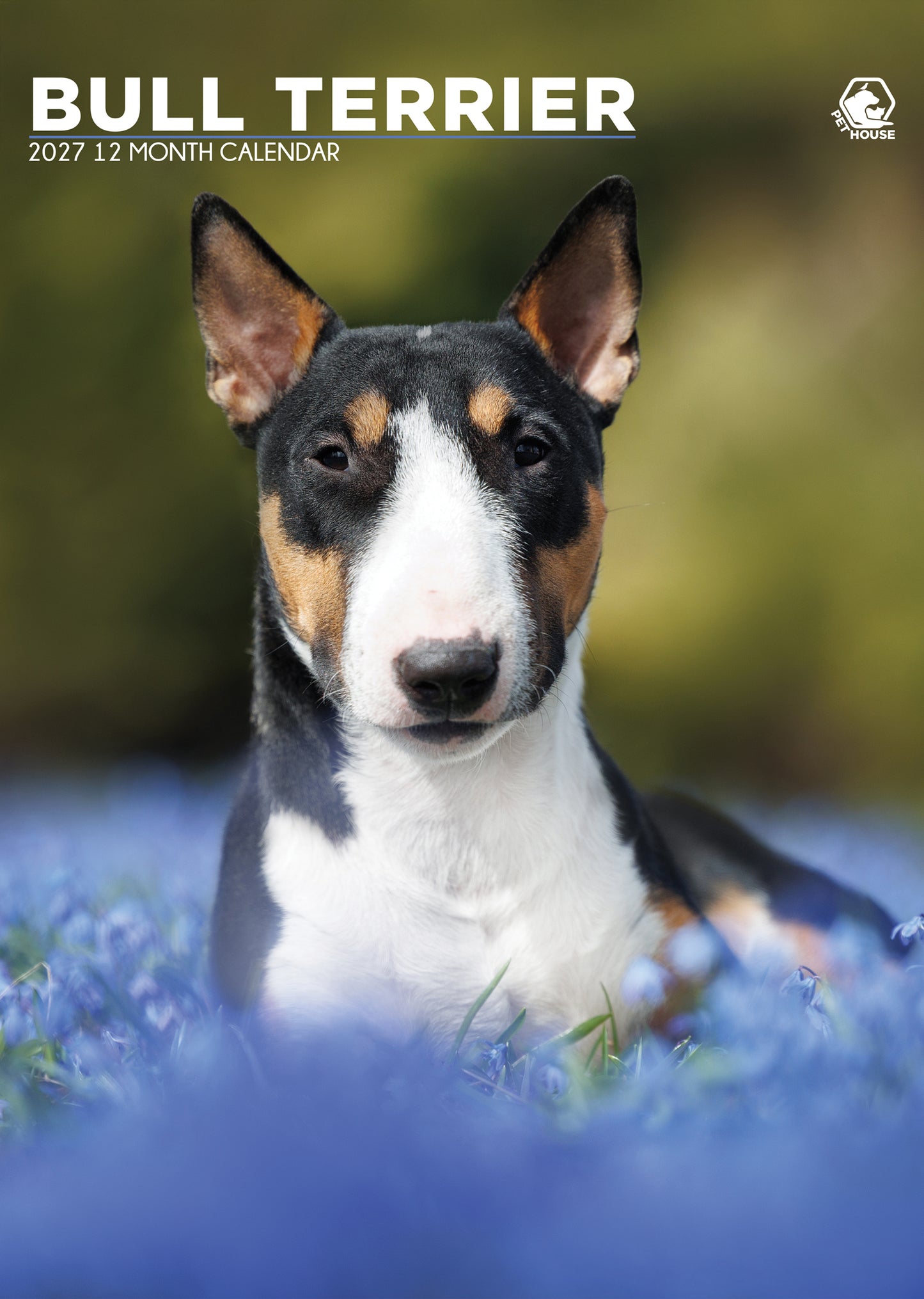 Bull Terrier - A3 Calendar 2027