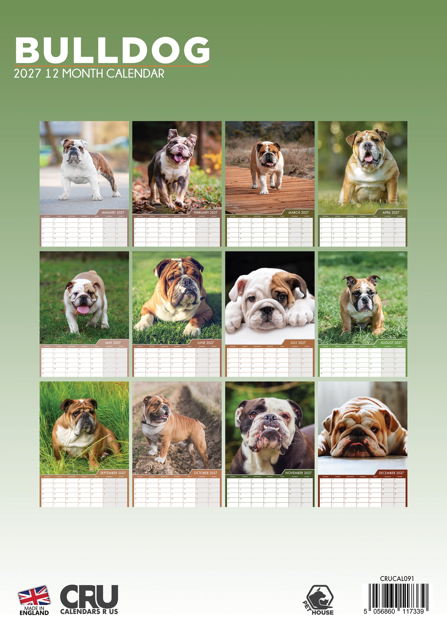 Bulldog - A3 Calendar 2027