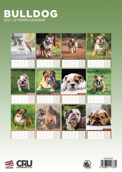 Bulldog - A3 Calendar 2027