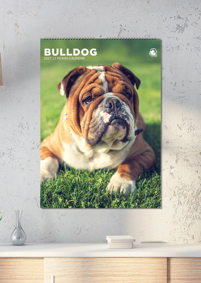 Bulldog - A3 Calendar 2027