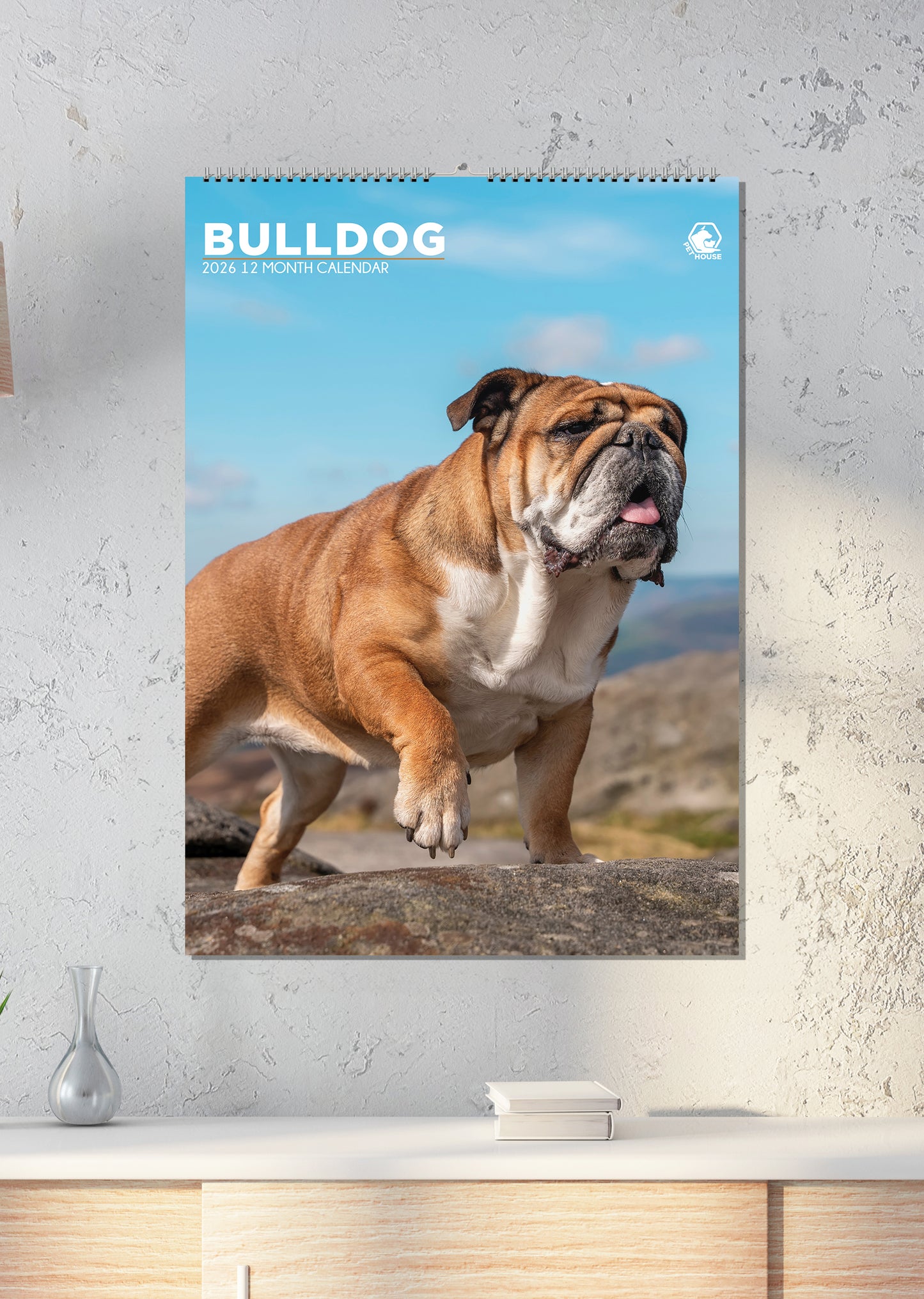Bulldog - A3 Calendar 2026