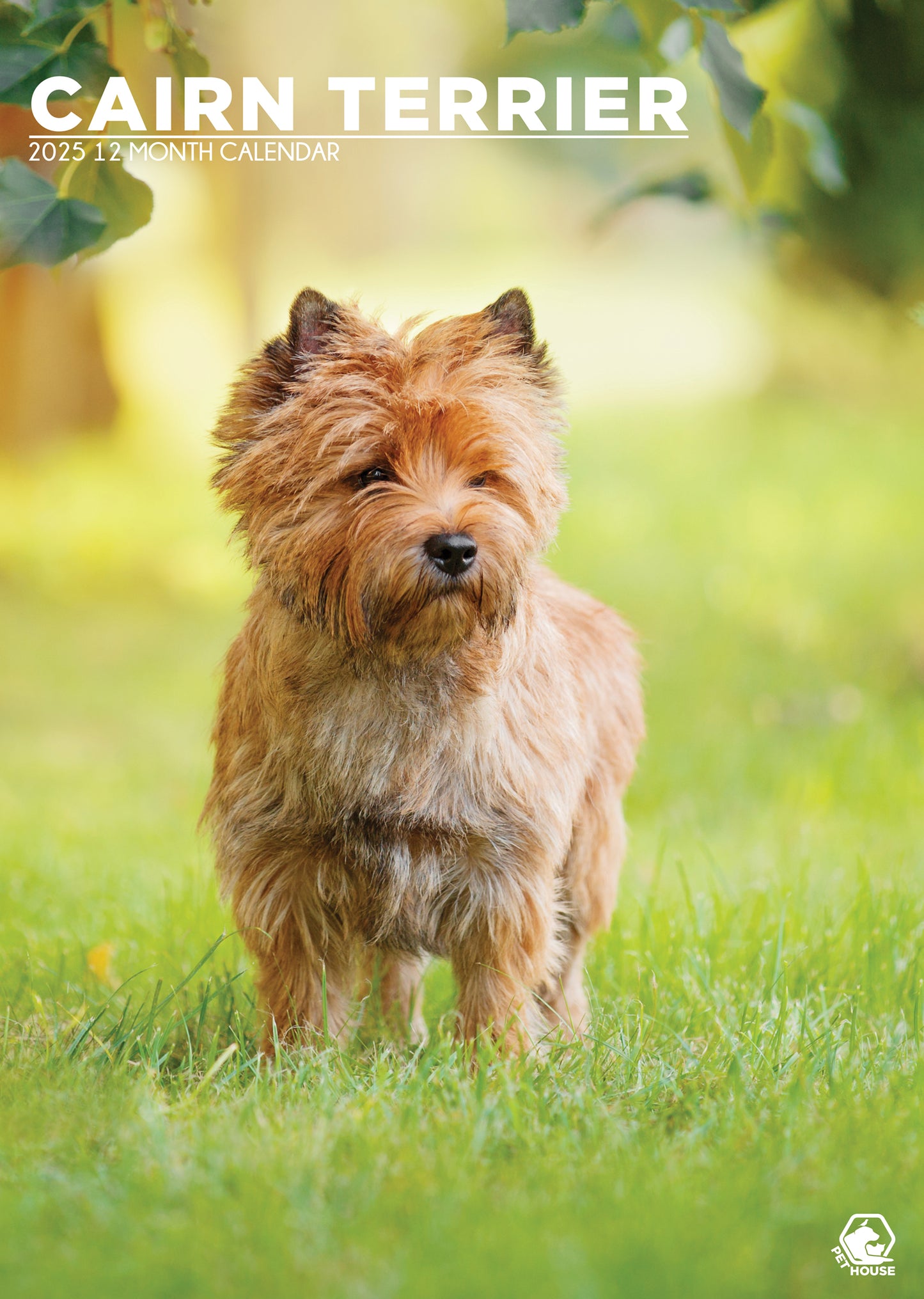 Cairn Terrier Calendar 2025