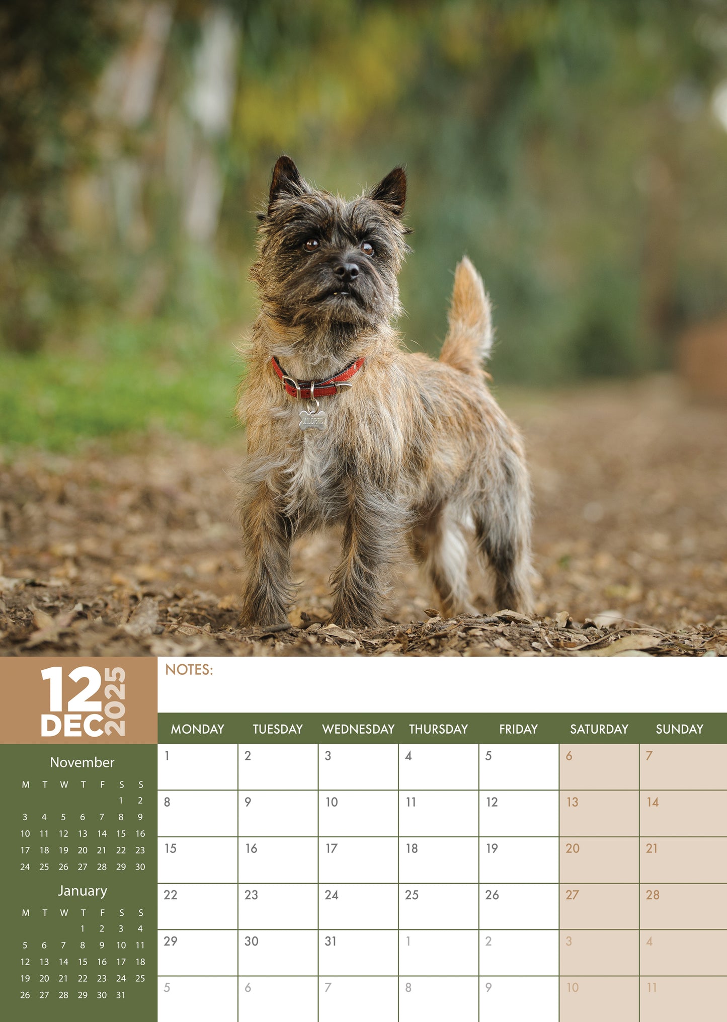 Cairn Terrier Calendar 2025