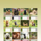 Cairn Terrier Calendar 2025